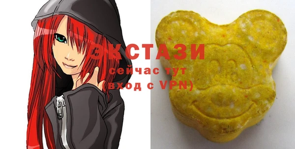 индика Бронницы
