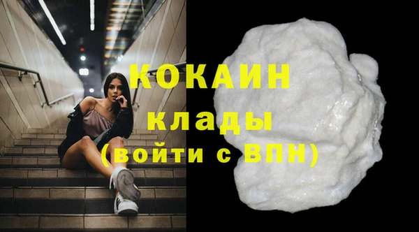 индика Бронницы