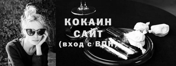 индика Бронницы