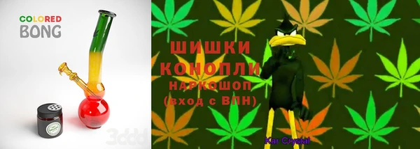 индика Бронницы