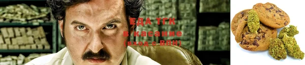 индика Бронницы