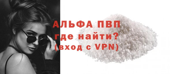 индика Бронницы