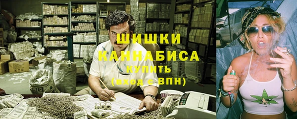 мдпв Бугульма