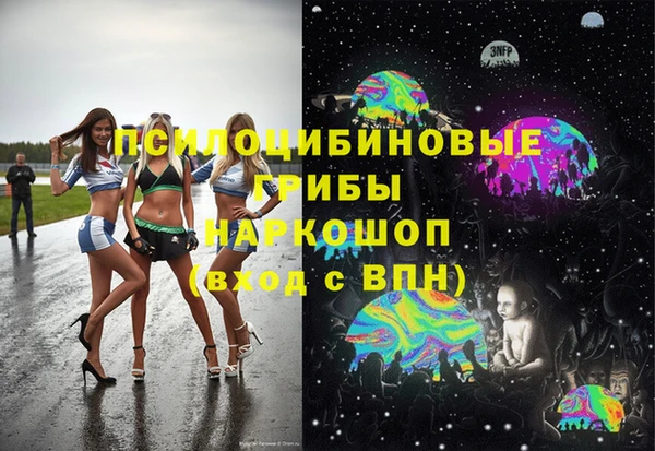 мдпв Бугульма