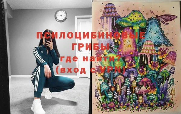 индика Бронницы