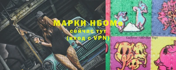 индика Бронницы