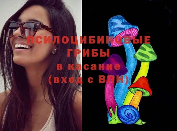 марки lsd Бородино