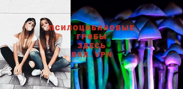 мдпв Бугульма
