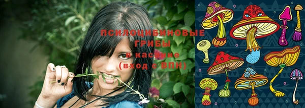 мдпв Бугульма