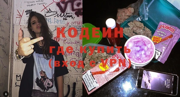 индика Бронницы